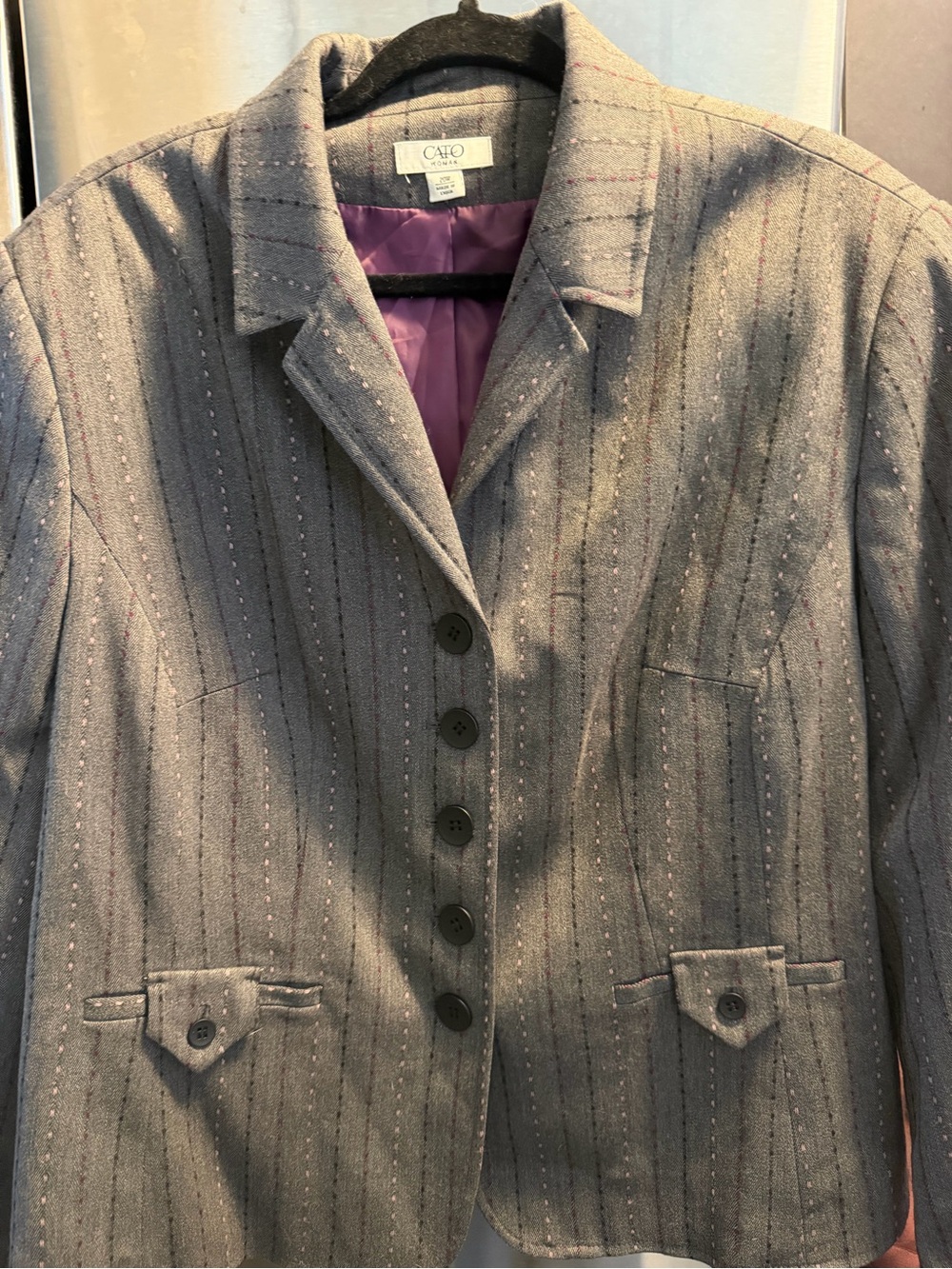 Cato Gray Pinstriped Blazer with Purple Lining